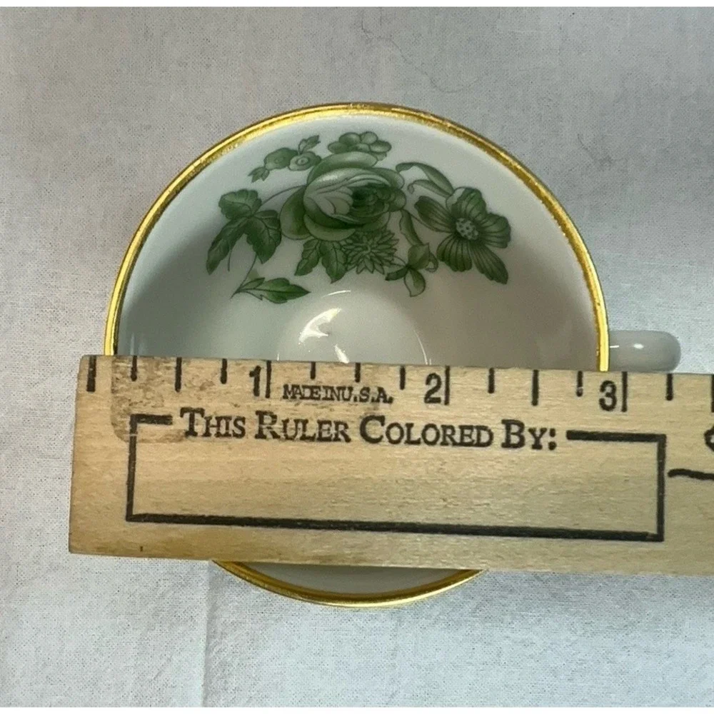 Richard Ginori Demitasse Coffee Tea Set Green Rose 15pc Espresso Service For 6 - Picture 6 of 16
